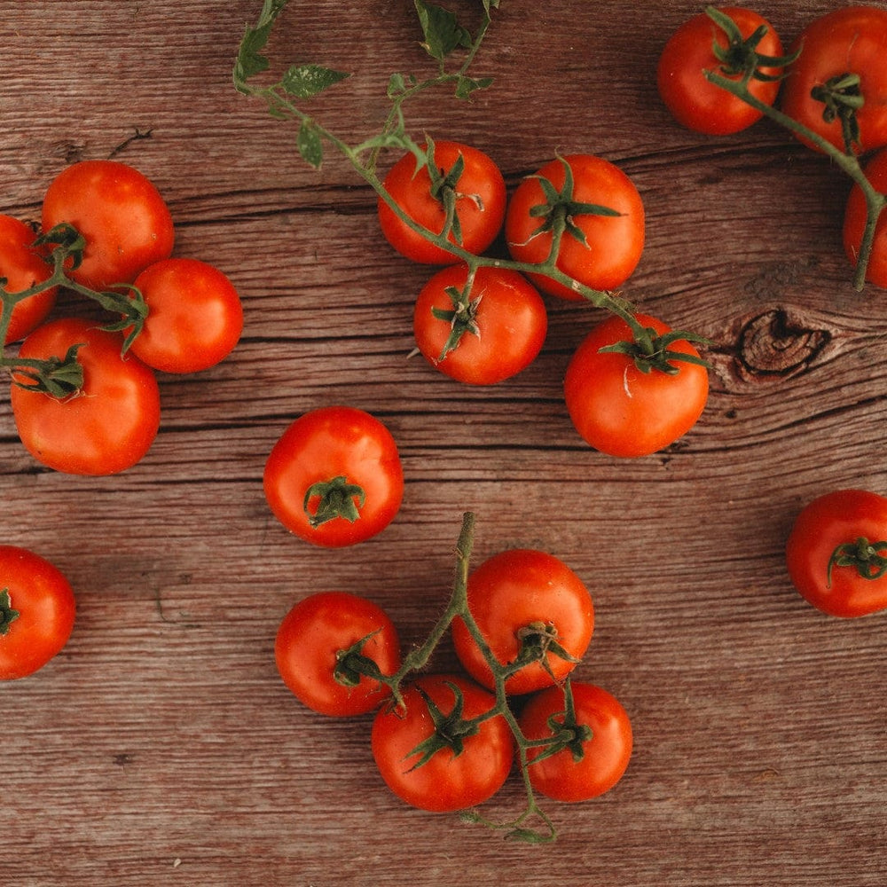 Glasnost Siberian Tomato