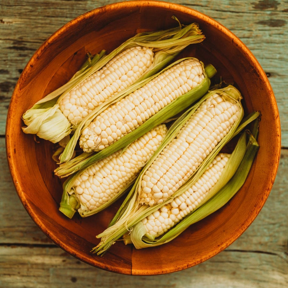 Hayes White Sweet Corn