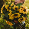 Henry Wilde Sunflower