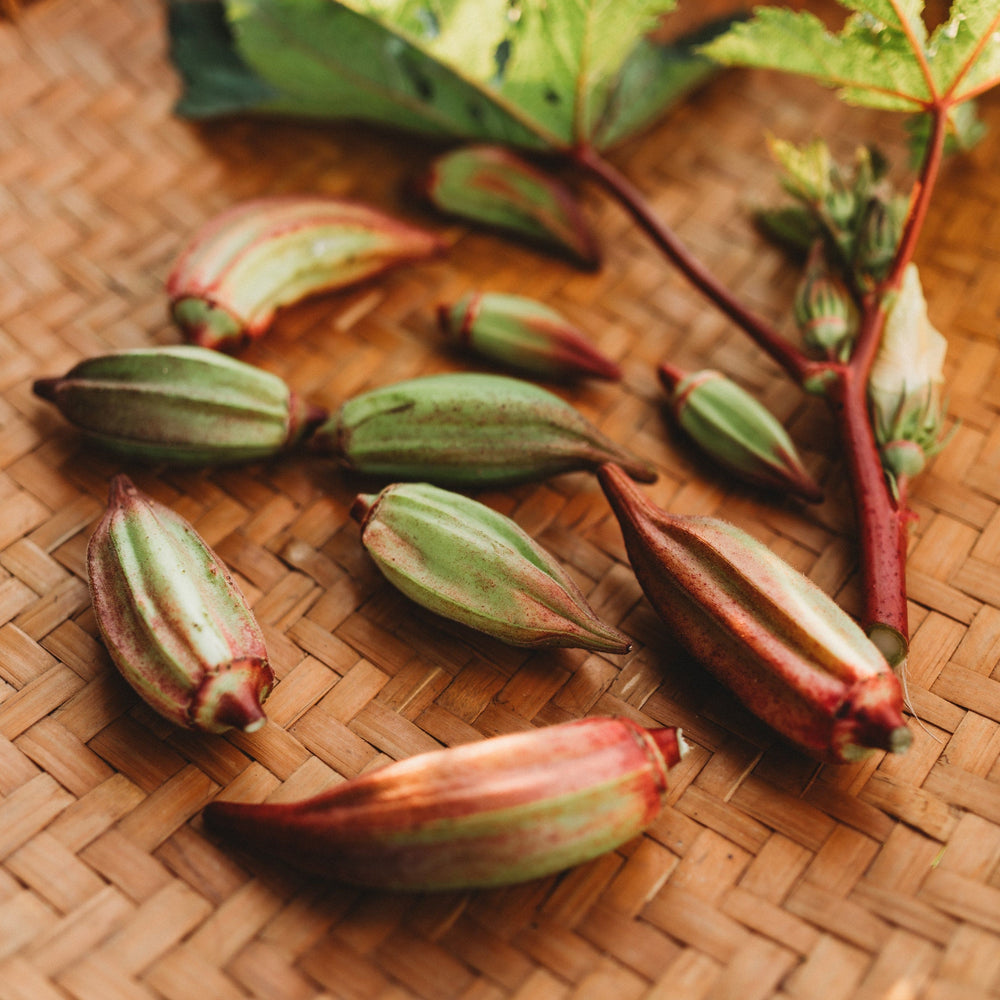 Hill Country Red Okra