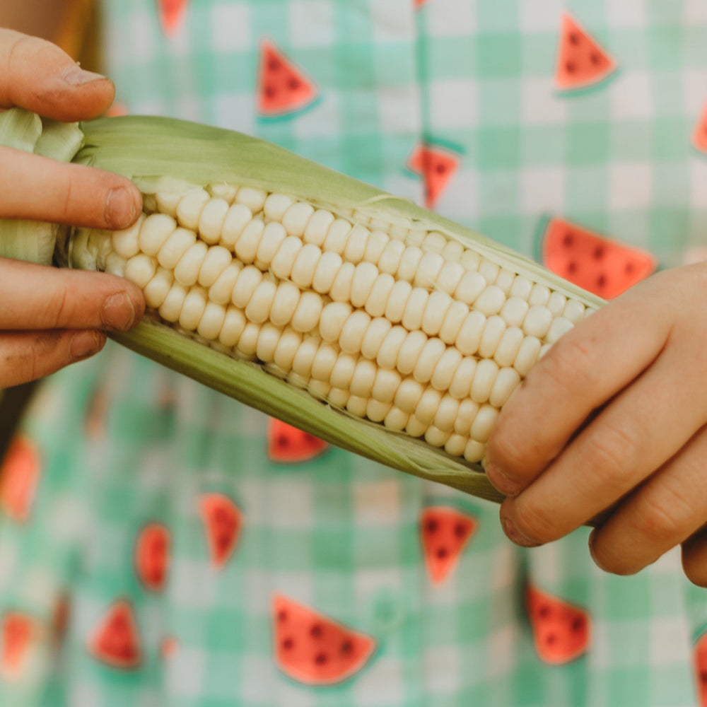 Howling Mob Heirloom Sweet Corn