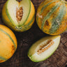 Israel Melon (HaOgen)