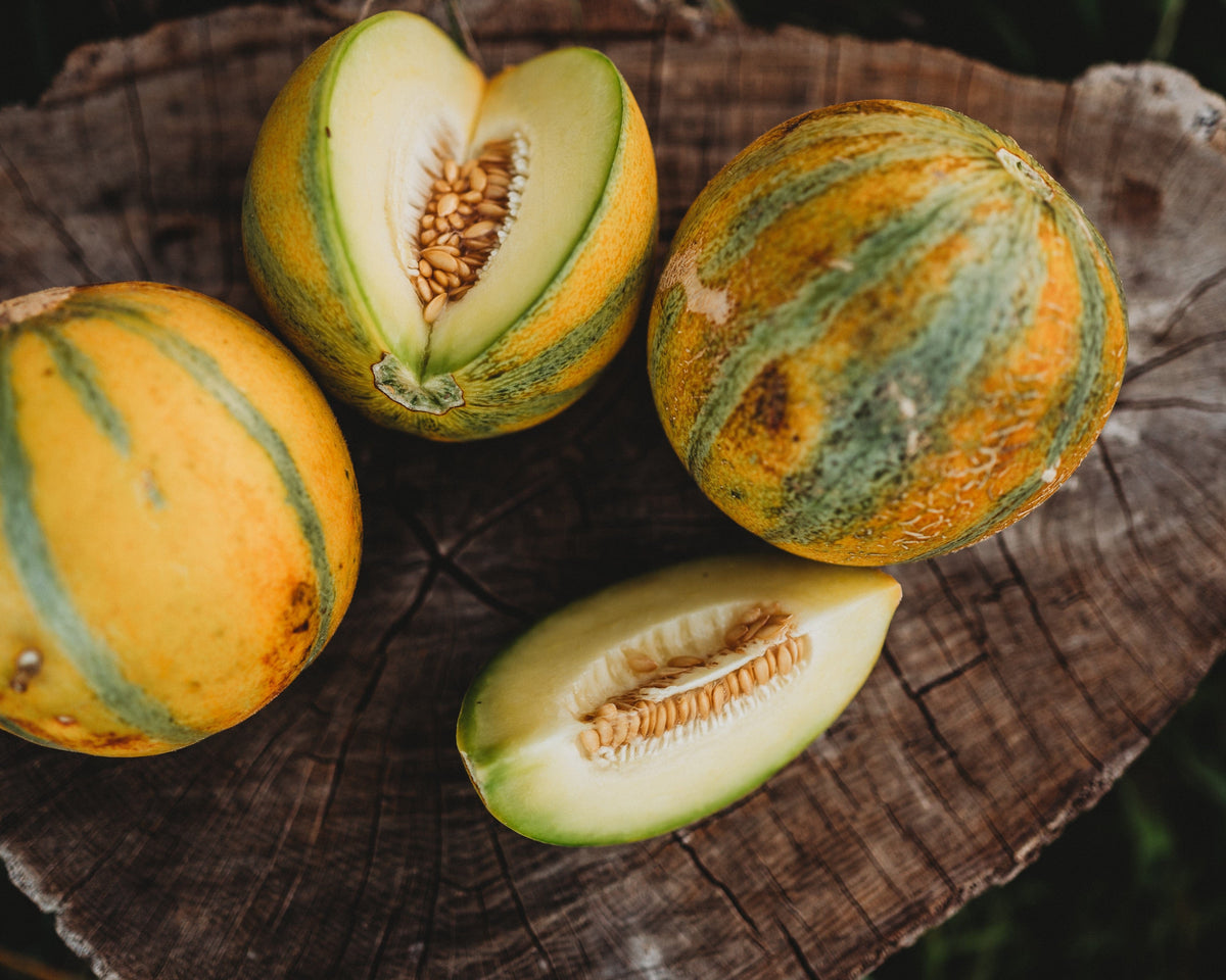 Israel Melon (HaOgen)