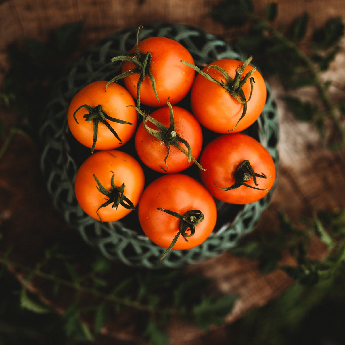 Jaune Flammée Tomato