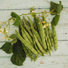 Kentucky Wonder (Old Homestead) Pole Bean