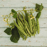 Kentucky Wonder (Old Homestead) Pole Bean