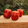 Keystone Resistant Giant Bell Pepper