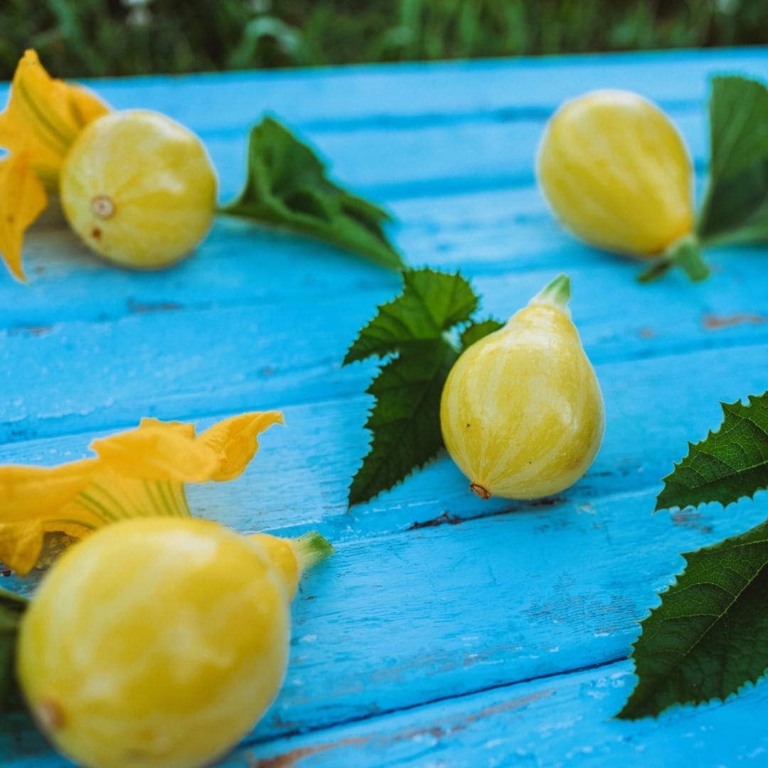 Lemon Summer Squash