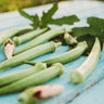 Louisiana White Velvet Okra