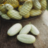 Miniature White Cucumber