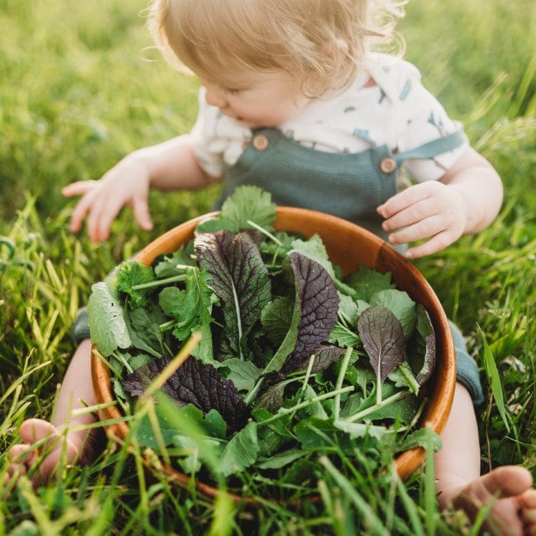 Momma's Braising Greens Mix