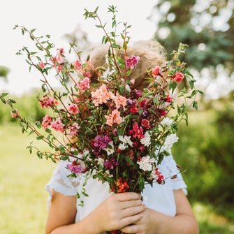 Mountain Garland Mix (Elegant Clarkia)