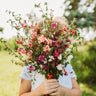 Mountain Garland Mix (Elegant Clarkia)