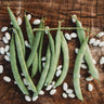 Mountaineer White Half-Runner Bean