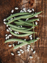 Mountaineer White Half-Runner Bean