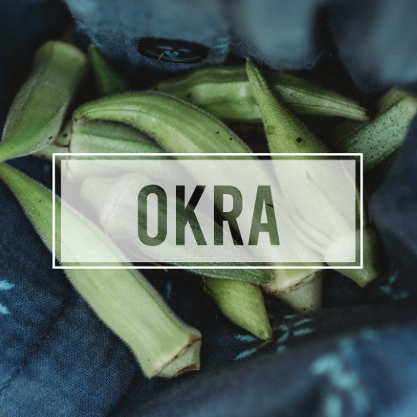 Okra