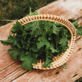 Old Fashioned Mustard Greens