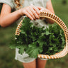 Old Fashioned Mustard Greens