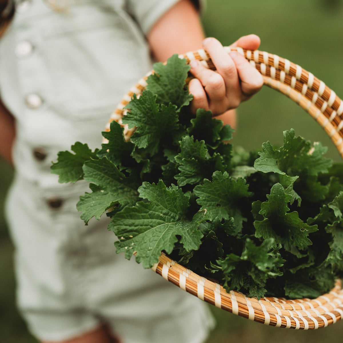 Old Fashioned Mustard Greens