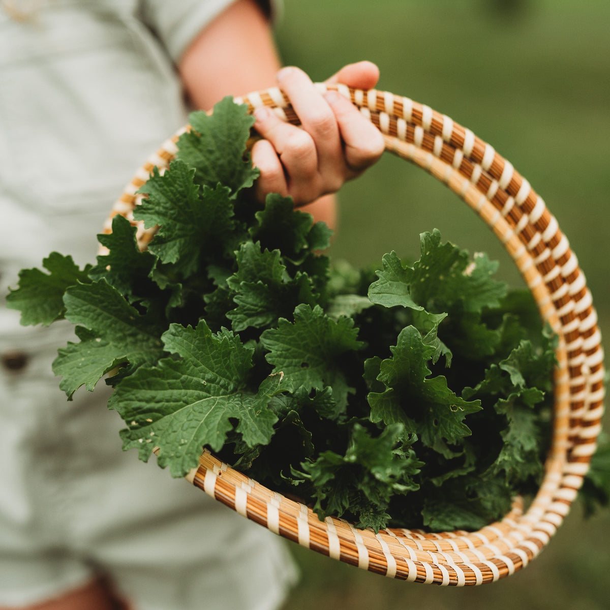 Old Fashioned Mustard Greens