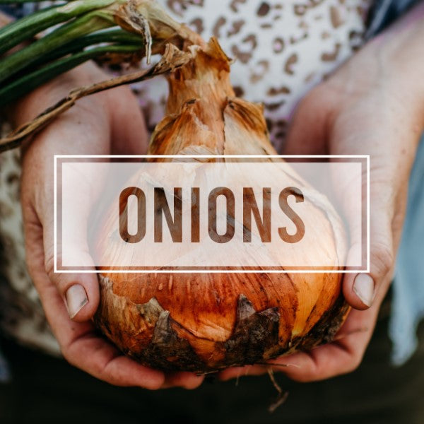 Onions