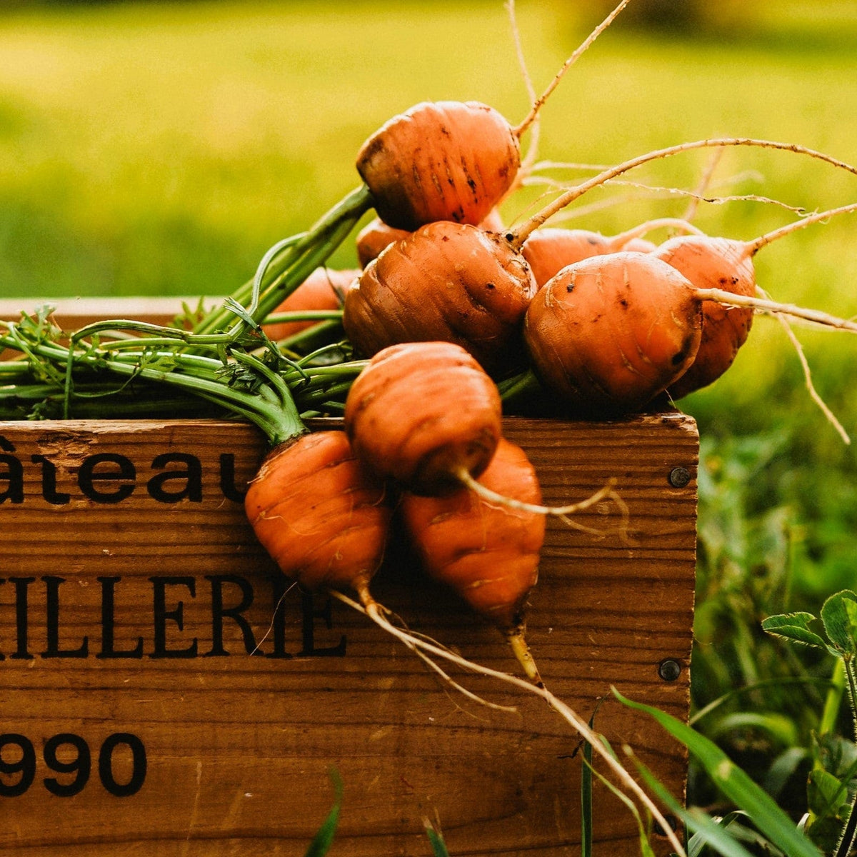 Parisian French Carrot