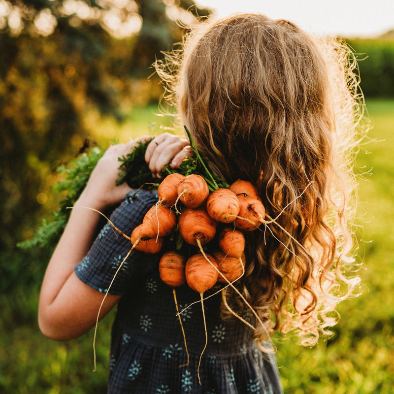 Parisian French Carrot