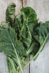 Perpetual Spinach Swiss Chard