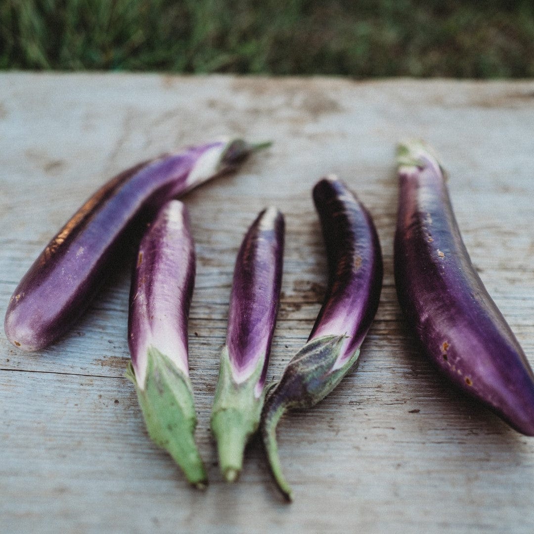 Ping Tung Long Eggplant