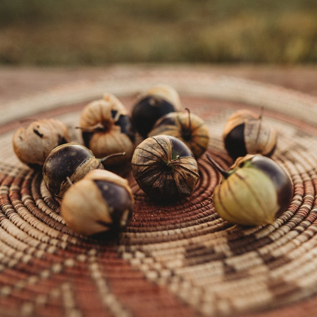 Purple Coban Tomatillo