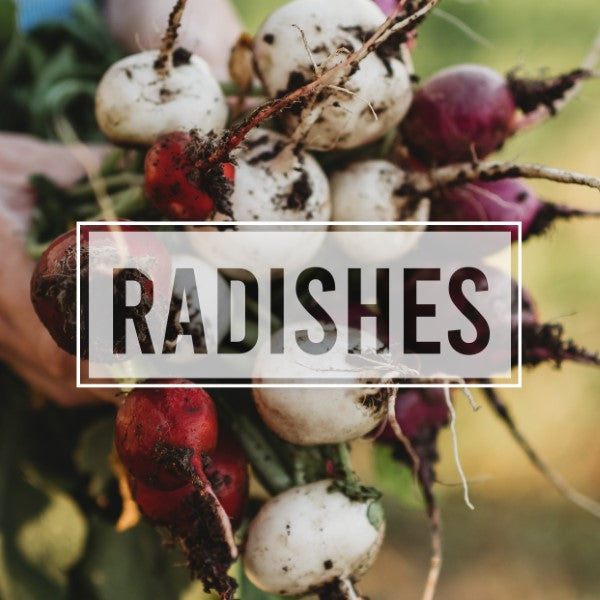 Radishes