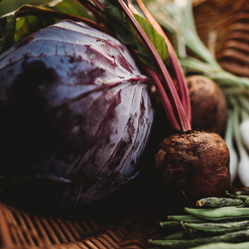 Red Acre Cabbage