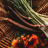 Red Burgundy Okra