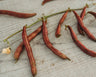 Red Swan Bush Bean