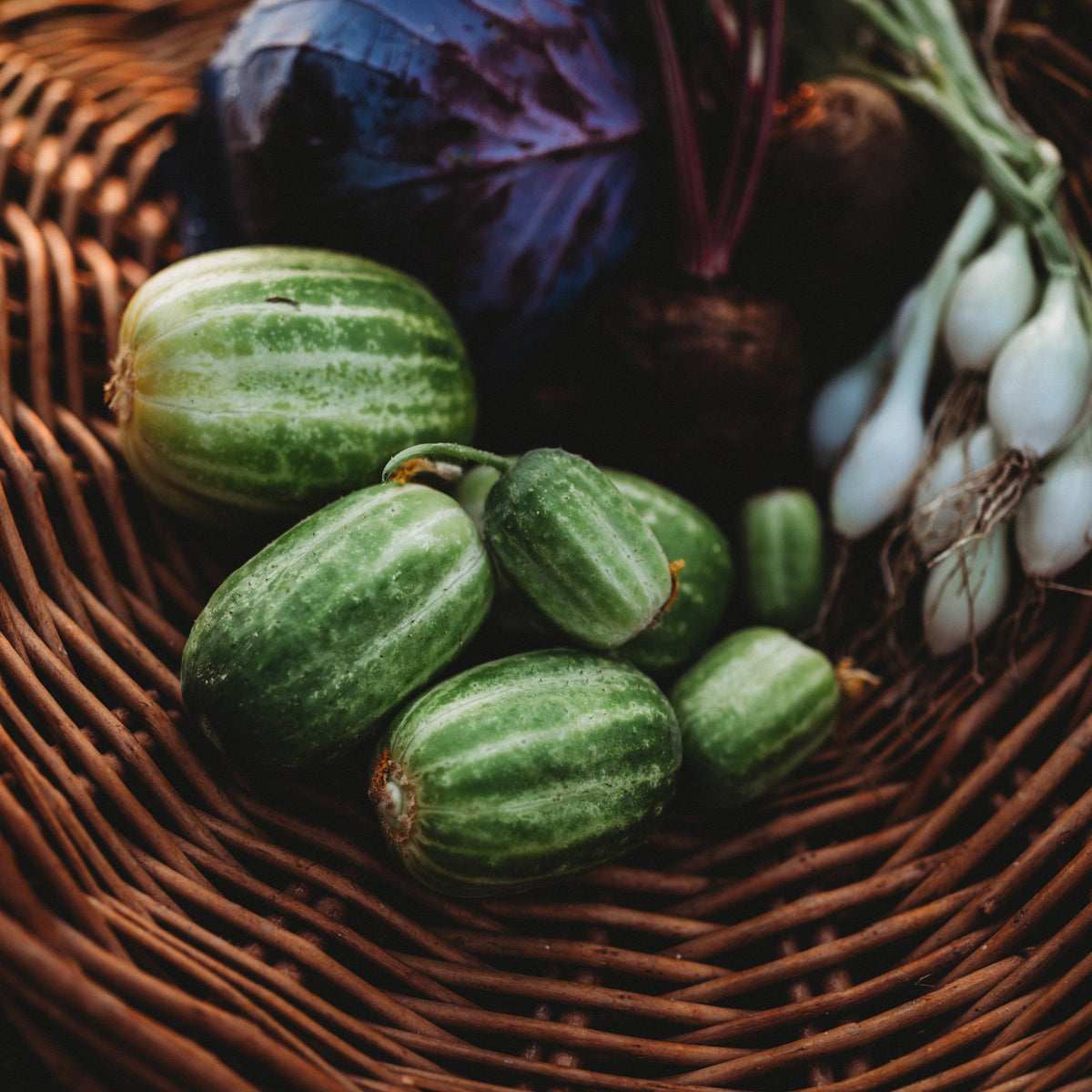 Richmond Green Apple Cucumber