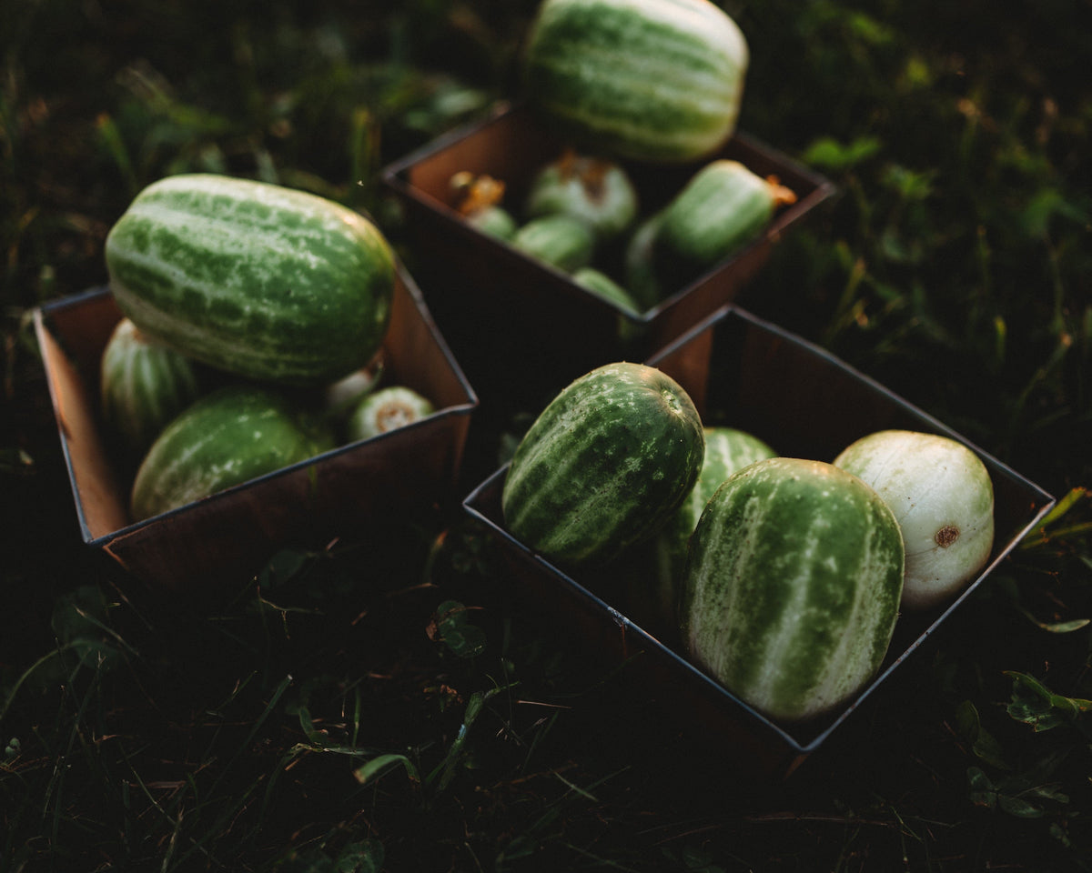 Richmond Green Apple Cucumber