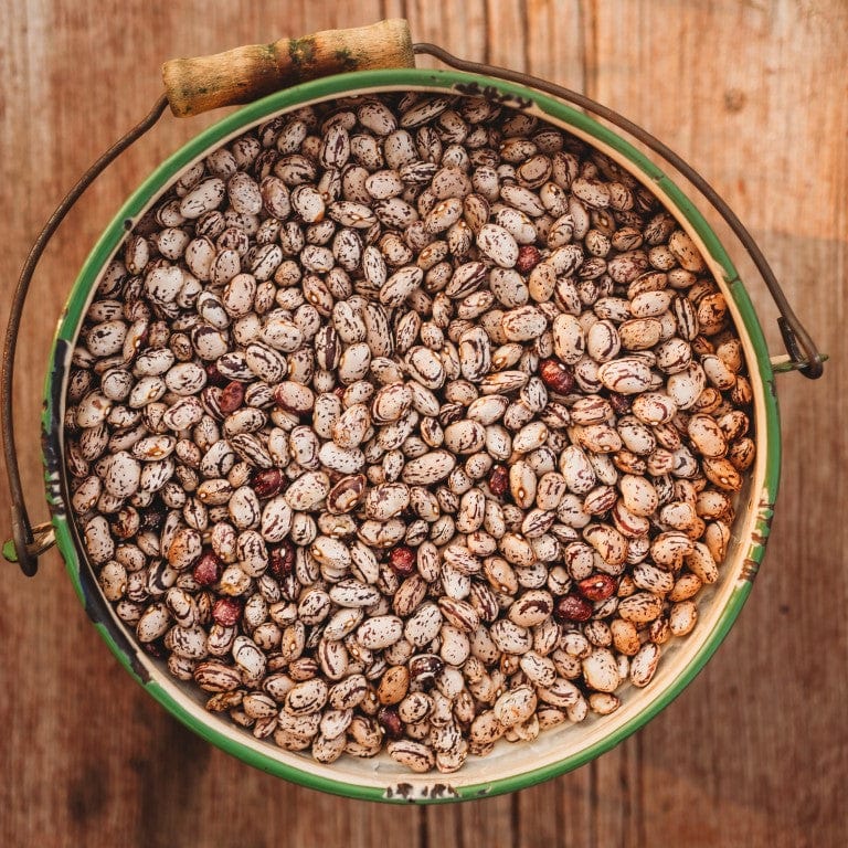 Speckled Cranberry Shelling Bean (October Bean)