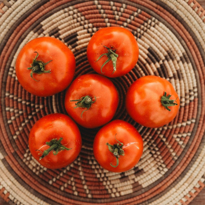 Super Sioux Heirloom Tomato