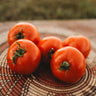 Super Sioux Heirloom Tomato