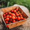 Sweetie Cherry Tomato