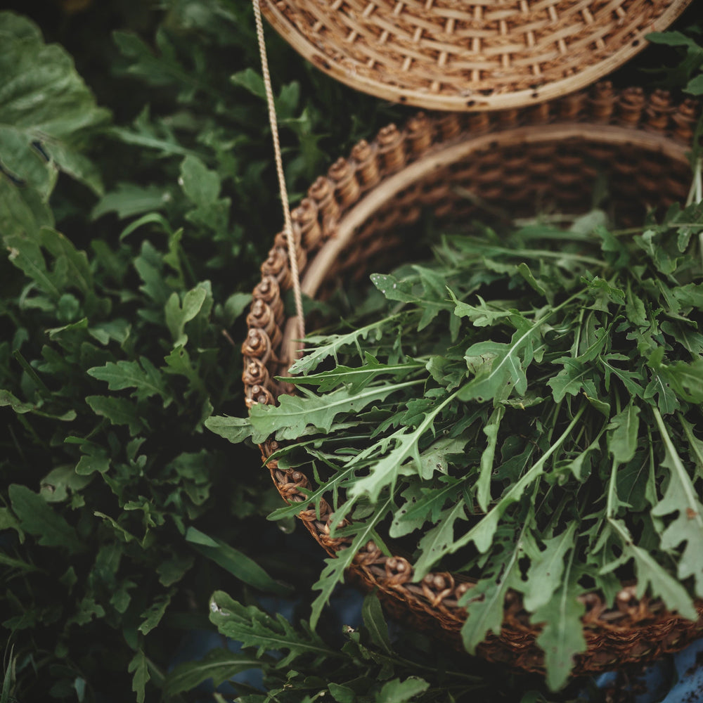 Sylvetta Arugula (Wild Rocket, Roquette Sauvage)