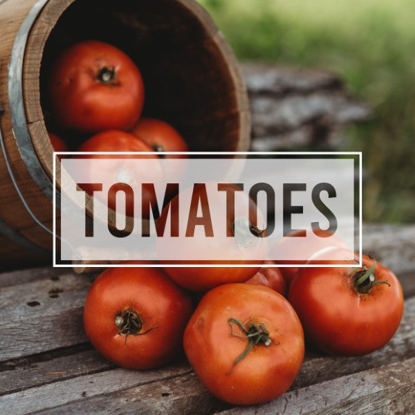 Tomatoes