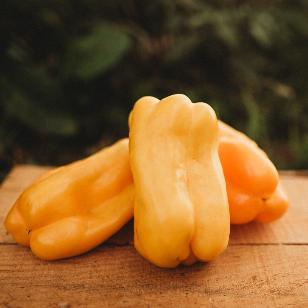 Wooden Vegetable - Yellow Bell Pepper - Moon Picnic