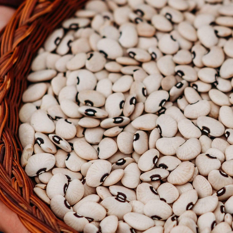 Alabama Blackeye Lima Bean (Butterbean)