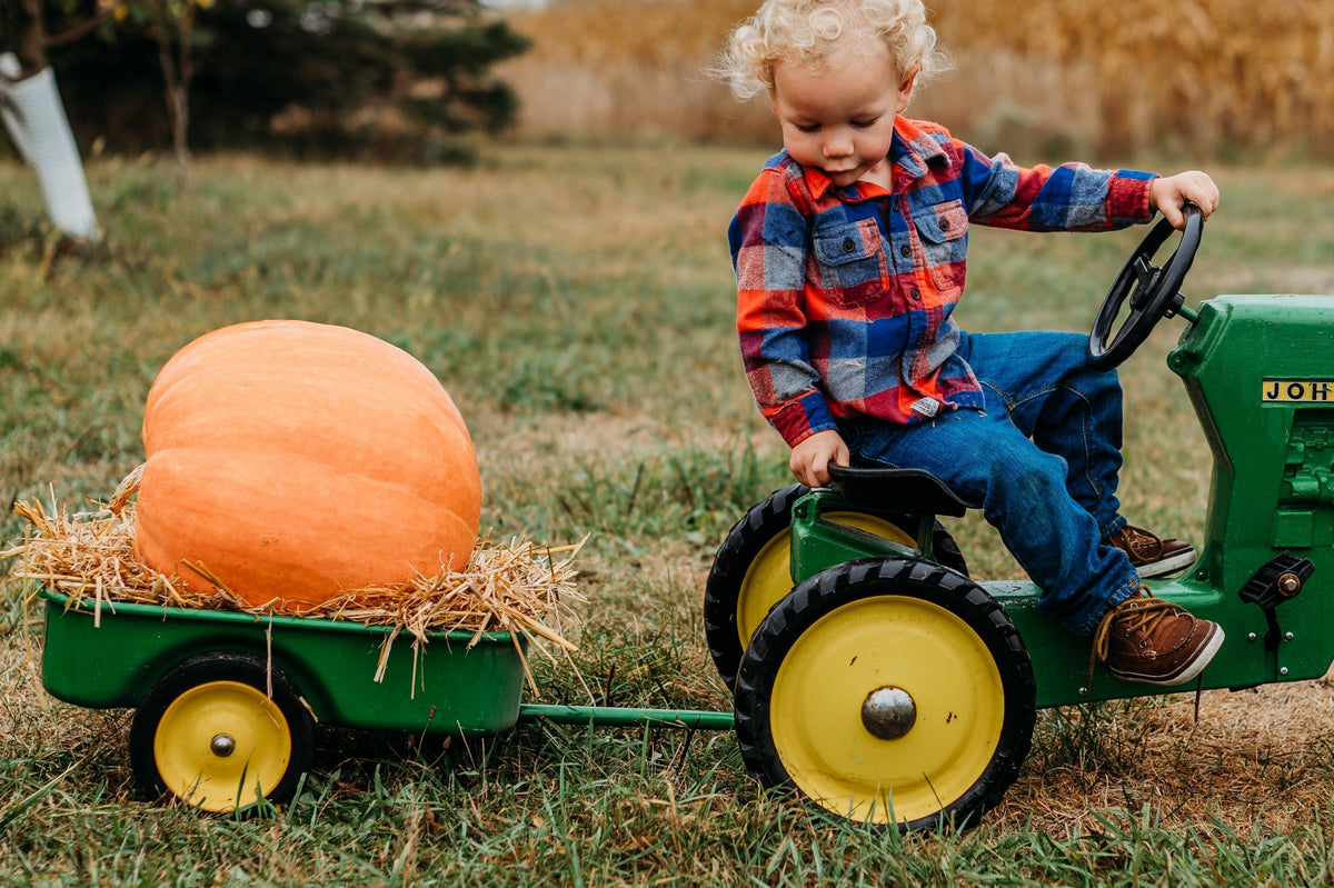 Atlantic Giant Pumpkin