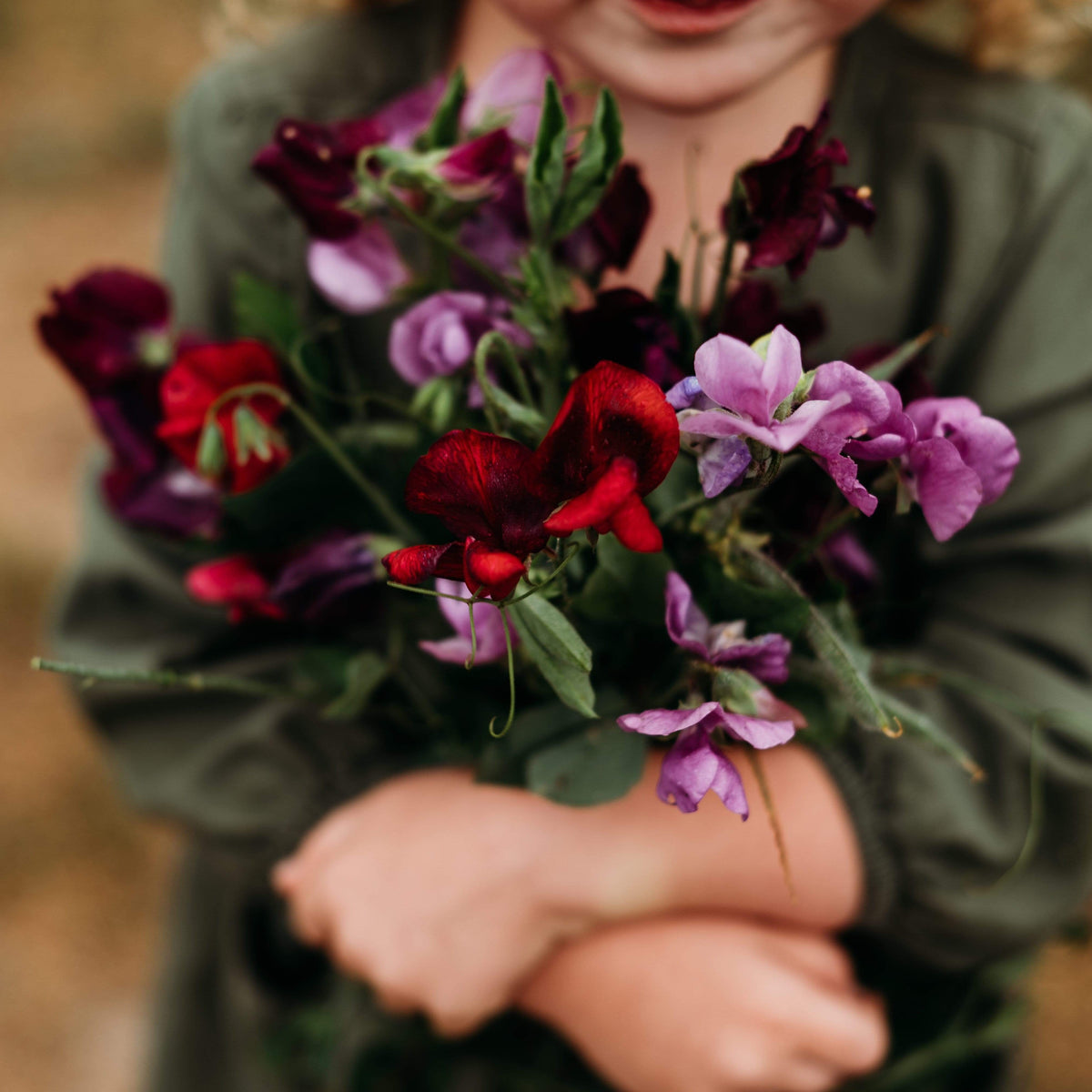 Bijou Sweet Pea Mix