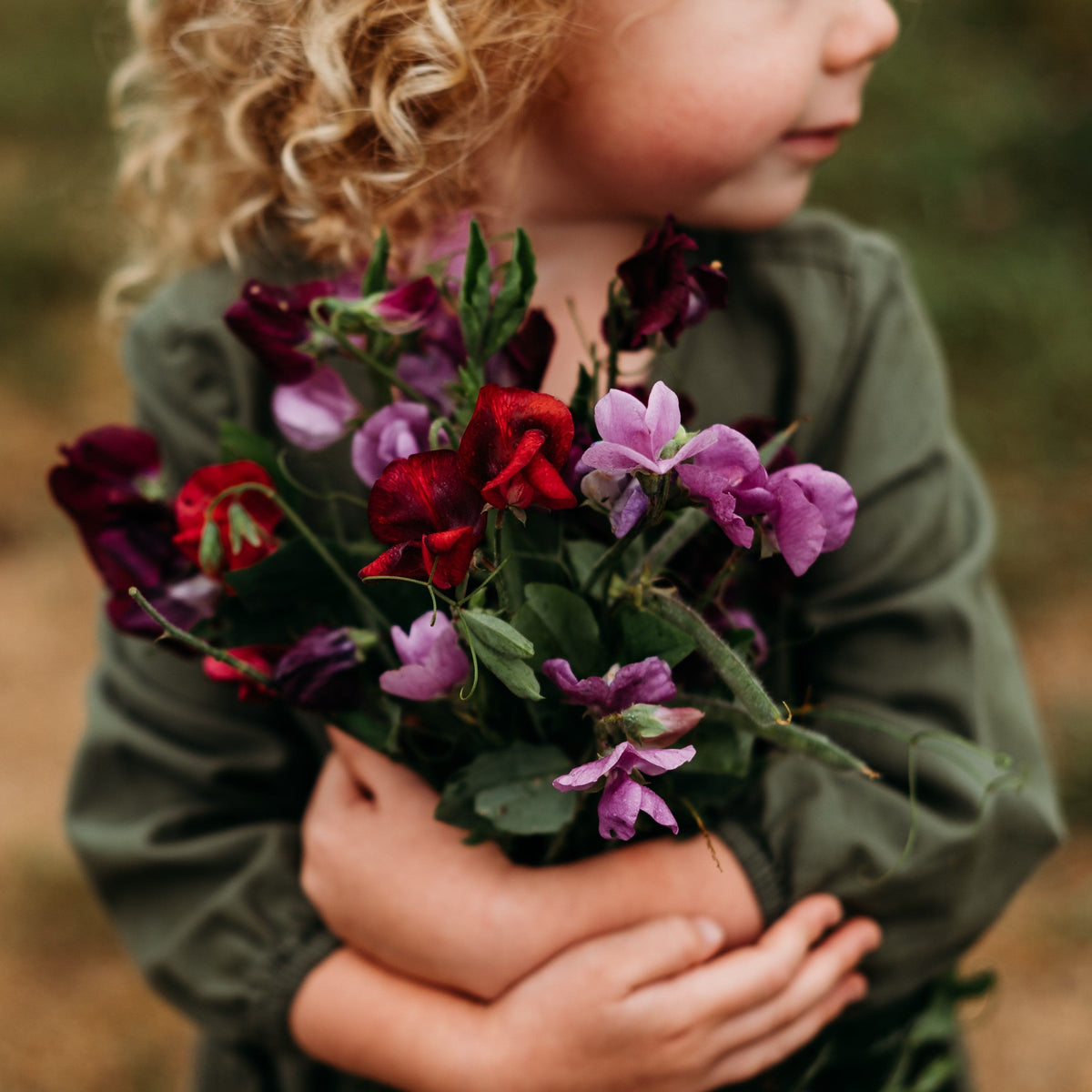 Bijou Sweet Pea Mix