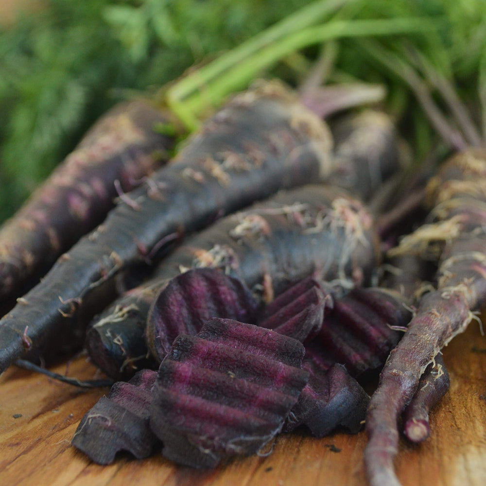 Black Nebula Carrot