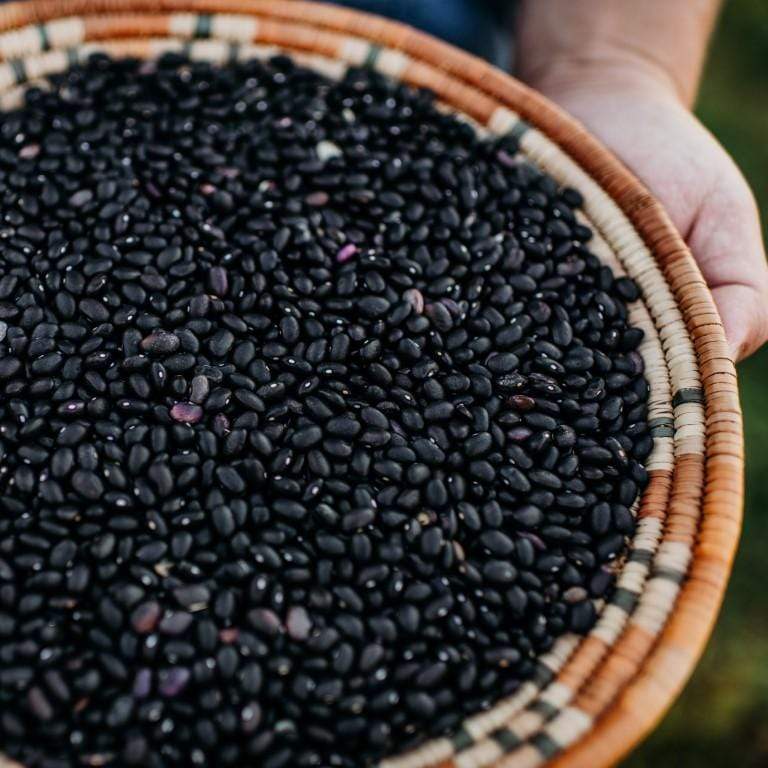 Black Turtle Semi-Runner Shelling Bean