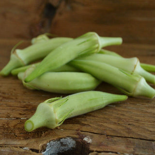 Blondy Dwarf Okra